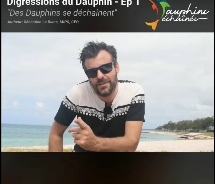 Des Dauphins Déchaînés